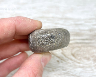 Polished Dinosaur Bone Pebble #8