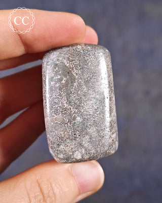 Polished Dinosaur Bone Pebble #2