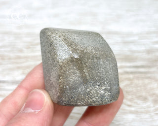 Polished Dinosaur Bone Pebble #9