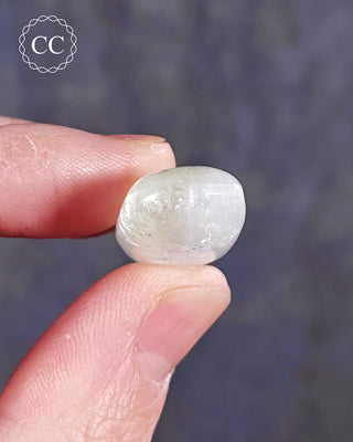 Green Apophyllite Polished #13