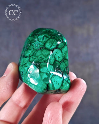 A hand holding a polished Malachite freeform