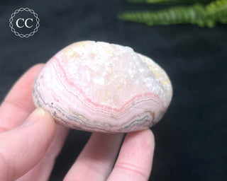 Polished Rhodochrosite with Quartz - Peru #2