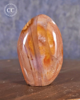 Polychrome Jasper Freeform #2
