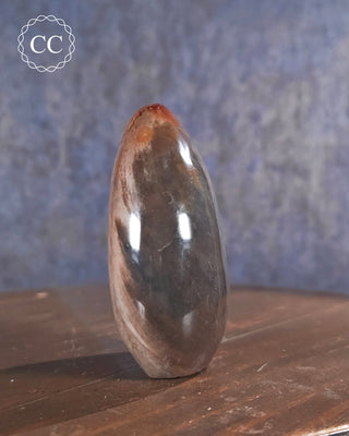 Polychrome Jasper Freeform #3