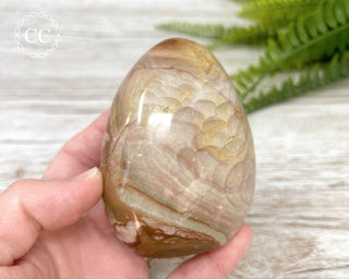 Polychrome Jasper Freeform #1