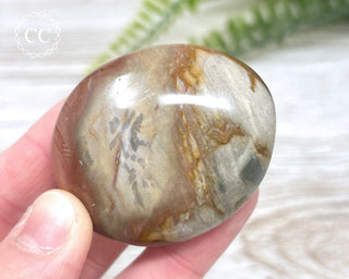 Polychrome Jasper Chunky Palm Stone #3