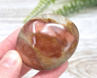 Polychrome Jasper Chunky Palm Stone #3