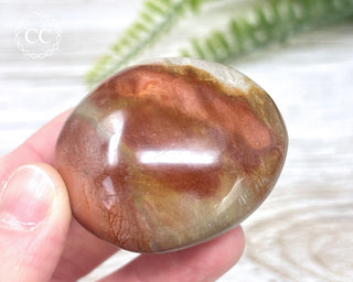 Polychrome Jasper Chunky Palm Stone #3