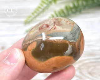 Polychrome Jasper Chunky Palm Stone #2