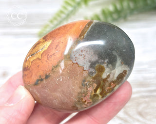 Polychrome Jasper Chunky Palm Stone #4