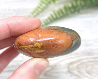 Polychrome Jasper Chunky Palm Stone #4