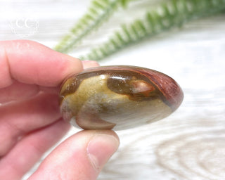 Polychrome Jasper Chunky Palm Stone #5