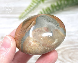 Polychrome Jasper Chunky Palm Stone #2