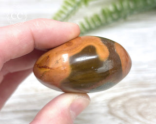 Polychrome Jasper Chunky Palm Stone #2