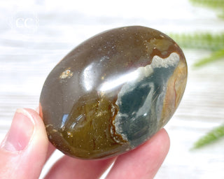 Polychrome Jasper Chunky Palm Stone #2