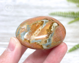 Polychrome Jasper Chunky Palm Stone #1