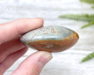 Polychrome Jasper Chunky Palm Stone #1