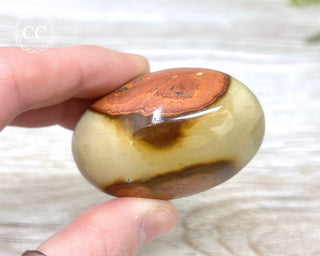 Polychrome Jasper Chunky Palm Stone #5