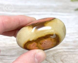 Polychrome Jasper Chunky Palm Stone #5