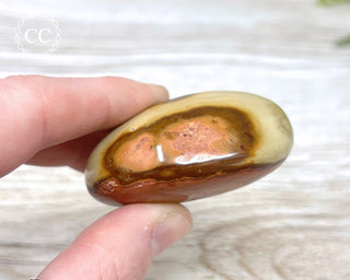 Polychrome Jasper Chunky Palm Stone #5