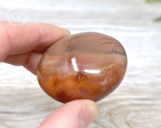 Polychrome Jasper Chunky Palm Stone #2