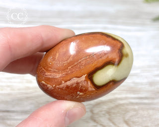 Polychrome Jasper Chunky Palm Stone #5