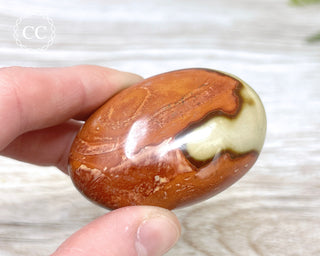 Polychrome Jasper Chunky Palm Stone #5