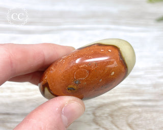 Polychrome Jasper Chunky Palm Stone #5