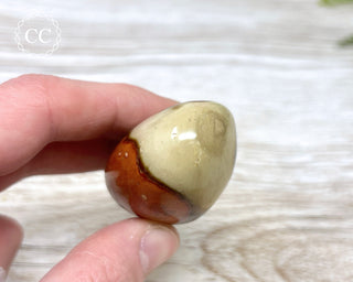 Polychrome Jasper Chunky Palm Stone #5
