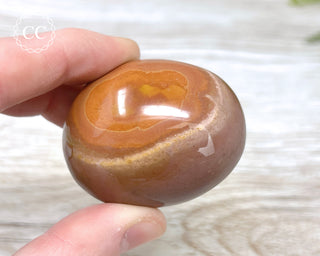 Polychrome Jasper Chunky Palm Stone #6