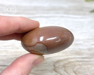 Polychrome Jasper Chunky Palm Stone #6