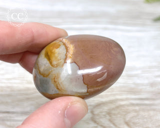 Polychrome Jasper Chunky Palm Stone #6