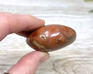 Polychrome Jasper Chunky Palm Stone #2