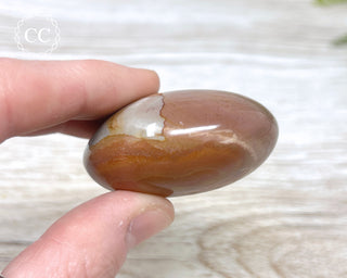 Polychrome Jasper Chunky Palm Stone #6