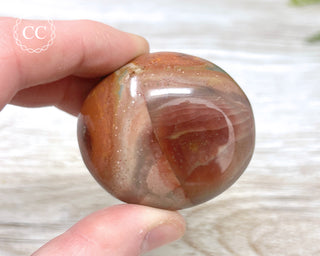 Polychrome Jasper Chunky Palm Stone #2