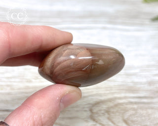 Polychrome Jasper Chunky Palm Stone #2