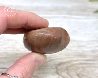 Polychrome Jasper Chunky Palm Stone #2