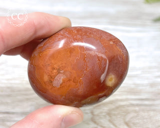 Polychrome Jasper Chunky Palm Stone #3