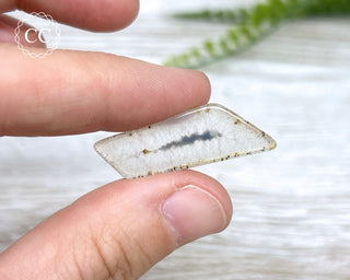 Polyhedral Agate Slice - Paraiba, Brazil #21