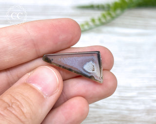 Polyhedral Agate Slice - Paraiba, Brazil #25