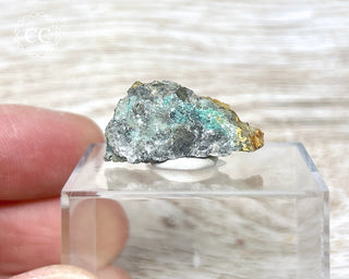 Posnjakite Specimen #2