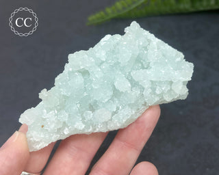 Prehnite Pseudomorph after Laumontite #2