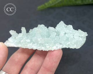 Prehnite Pseudomorph after Laumontite #2