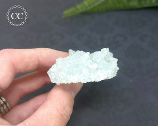 Prehnite Pseudomorph after Laumontite #2