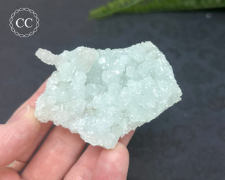 Prehnite Pseudomorph after Laumontite #4