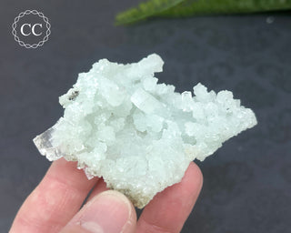 Prehnite Pseudomorph after Laumontite #5