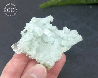 Prehnite Pseudomorph after Laumontite #5