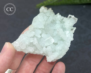 Prehnite Pseudomorph after Laumontite #5