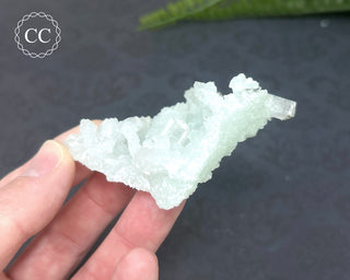 Prehnite Pseudomorph after Laumontite #5