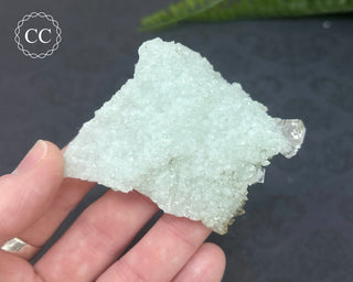 Prehnite Pseudomorph after Laumontite #5